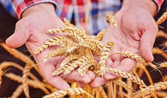 On July 13, 2023, a select group of 50 seasoned investors will gather to deliberate on relevant topics in the field of agriculture. Over the course of the event, the investment leaders will examine a range of innovative advancements and potential investment prospects within the industry, while also offering valuable guidance on maximizing returns on investments in agriculture.
Craig Astill, CEO at the Caason Group, Australia: “One of the areas of agriculture that will see a lot of growth in the coming years is regenerative agriculture, as there has been a worldwide focus on ESG.”
The 135th PIFW "Feeding the World: Investing in Agricultural Innovation and Sustainability" presents a distinctive and exceptional place to its participants, providing them with an exclusive opportunity to explore the latest advancements and investment prospects in the field of agriculture. Participants will have first-hand access to valuable insights into the most promising areas of agriculture, with a special emphasis on learning to recognize the most significant investment prospects within the industry.
Jos Boeren, Head of Agriculture & Food Investments at Stafford Capital Partners, UK: “There's a lot of technology being applied into agriculture, but much of it is unrealistic. Agriculture needs technology that connects with the farms' challenges and the farmers' needs; these types of technologies are certainly bound to succeed.”

During the event, project owners will be given a chance to present their companies to our respected investment community in a dedicated session. If you're interested in this unique opportunity, be sure to register at: https://pif.events/registration-form/ 
By showcasing your project at the event, you will be presented with a distinctive opportunity to:
- Introduce novel products to the industry;
- Boost the advancement of your ongoing project;
- Foster valuable connections with investors from across the globe via one-to-one meetings;
- Focus on a highly respected audience that specializes in investment and industry knowledge.
The event will be graced by an esteemed cohort of individuals, comprising of:
- 50 distinguished investment experts;
- Influential decision-makers from reputable firms representing 27 countries worldwide;
- Accomplished investment professionals with a proven track record of success and years of experience within the agriculture industry.
Reasons to attend:
- To cultivate long-lasting relationships with investors from all over the globe;
- To expand your awareness of the many innovations in the agriculture field;
- To enrich your knowledge of the agriculture industry through invaluable insights and expertise;
- To gain insights on the most promising investment prospects within the agriculture sector.