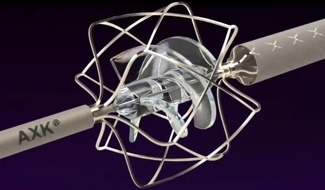 Innovation in Cardiology: CoRisma