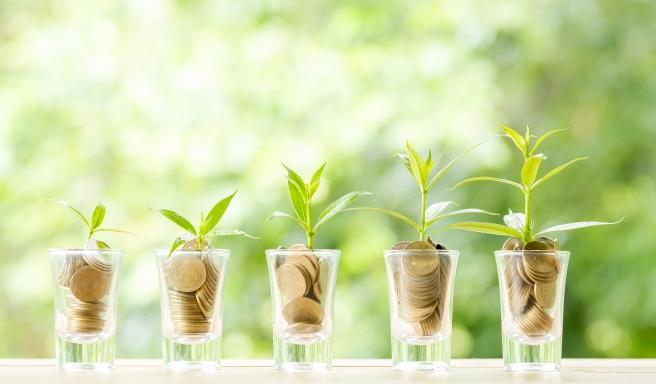 278th Investing in Impact: Solving Planet Challenges Profitably
